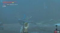 From here, just two weaker Lizalfos remain.