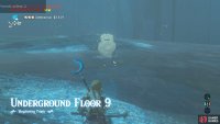 Quickly kill the Octorok on the right with arrows/bombs.