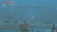 Next, shoot an arrow at the Octorok to the left of the Wizzrobe.