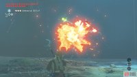 Use Fire Arrows or Bombs to stun the Wizzrobe.