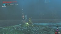 Once the Wizzrobe is dead, grab its weapon.