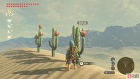 Keep your eyes peeled for these cacti.