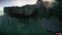 You can use the grappling hook when you see a white rope tied around a branch, and in this case, you will get the opportunity to wall-run