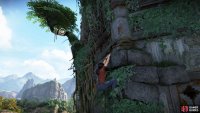 Climbable sections are often marked differently to their surroundings