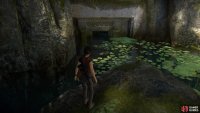 Dive into another tunnel