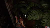Climb up the right side for treasure #20