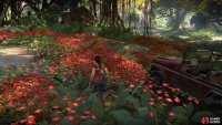 Start off at the area full of red flowers