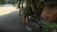 The treasure is sitting beneath the tree-bridge