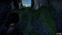 Through the tunnel you can see behind the treasure