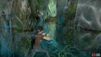 to find the treasure beneath the water at the back
