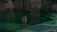 Swim to the rocks on the right side of the room