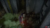 Jump inside for the treasure