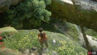 At the top, go forward to spot the treasure