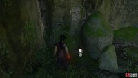 Find the treasure behind a rock at the back