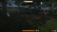 As you follow the stream eastward you will arrive at an opening in the woods where Pie can be found with a charcoal-burner beside him.
