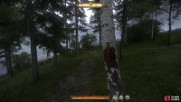 The birch tree is one of few in the region, so it should stand out amongst the darker trees.