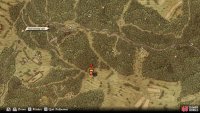 The boar hunting spot west of the Inn in the Glade.
