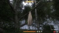 The clothing item can be found hanging from a tree near to where you found the horse.