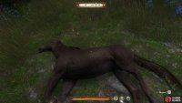 The dead horse should be easy to spot in the grass once you’re standing beside the outhouse.