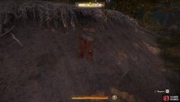 Locate the trousers beside a sand bank in the woods.
