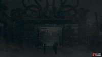 Enter the amusement park
