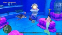 Return to Nautica after Alizarin’s death and speak to the turtle above the Weapons shop