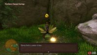 Use a mount to reach the chest across the lake