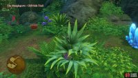 You’ll find the last chest of The Manglegrove hidden next to the nearby Crystal