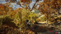 You will find the herbs growing beneath the dense foliage beside the stream. Follow it upstream to find more.