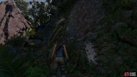 Ascend the rock wall