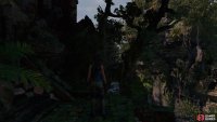 Jump through the trees