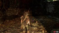 Champion’s Bow