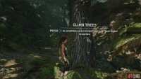 Look for long scratch marks on tree trunks