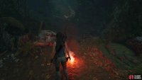 Follow the blood trail