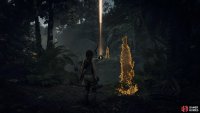 Cross the ravine