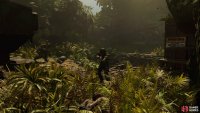Hide in the bushes to perform another stealth takedown