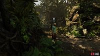 Stay hidden and perform stealth kills