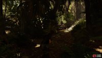 Go right to jump into the tree-canopy