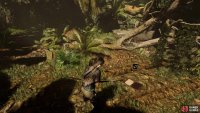 Document - Operation Update