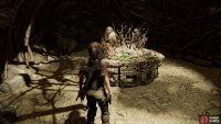 Find rare resources in the circular chamber