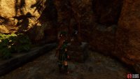 Relic - Year Bundle