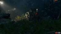 Stealth kill the first guy from the bushes