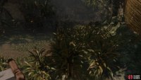 Stay in the tall crops