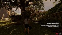 The fourth target is behind the tree