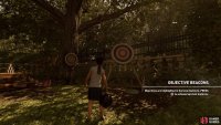 Hit the targets with the ball