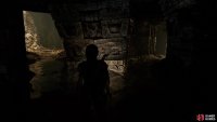 The right path leads to the chamber