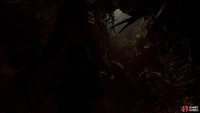 Belly of the Serpent