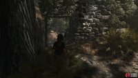 Left of the village is a wolf den and the first crypt
