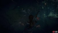 Watch out for piranhas below