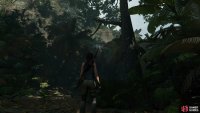 Climb the tree to jump to the ledge